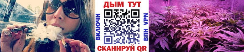 MEGA как войти  сколько стоит  Маркс  Каннабис SATIVA & INDICA 